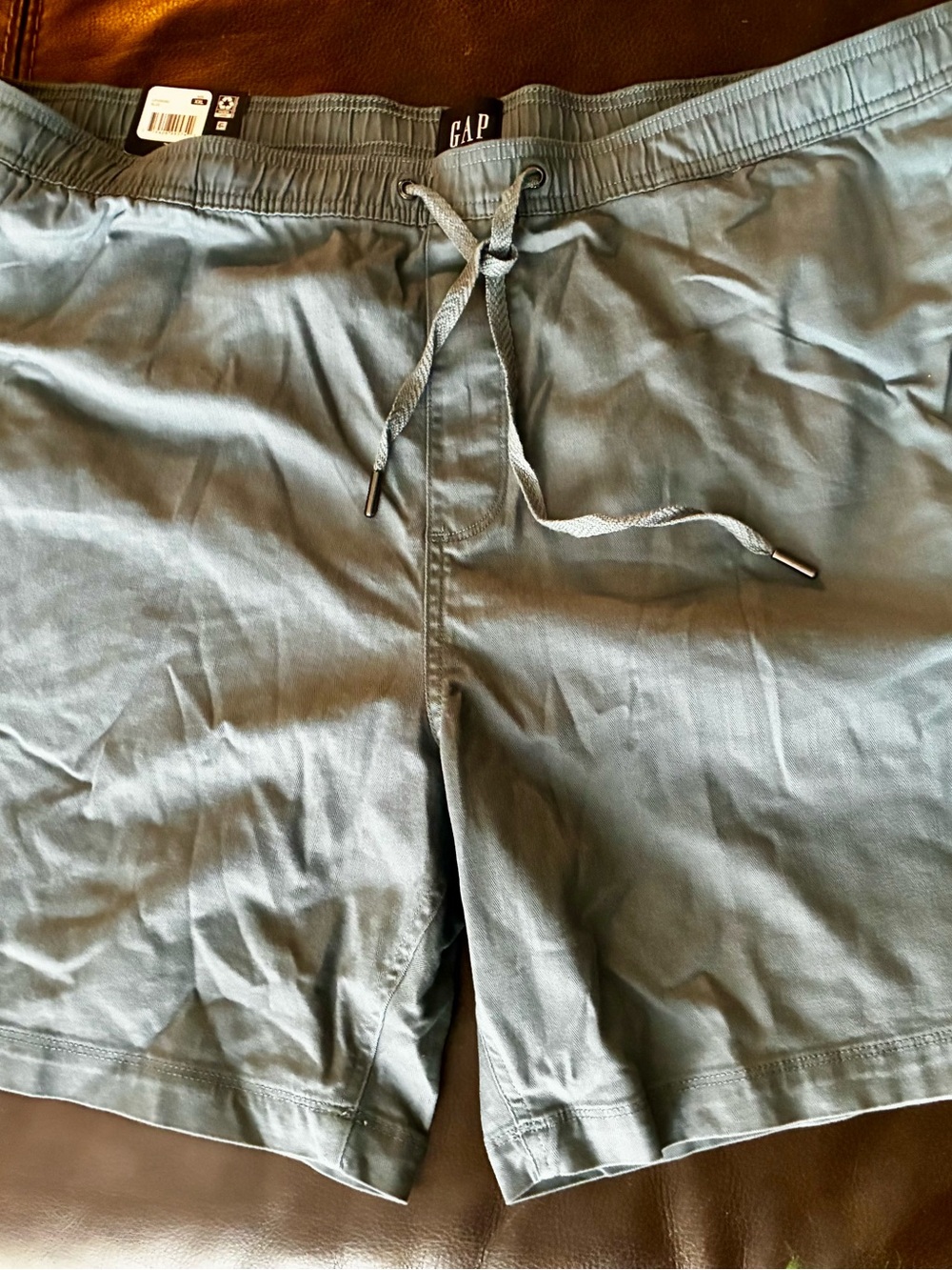 BNWT GAP Men's Sage Green Hybrid Drawstring Shorts